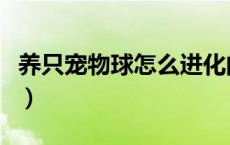 养只宠物球怎么进化的（养只宠物球怎么进化）