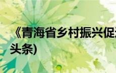 《青海省乡村振兴促进条例》明起施行(今日/头条)