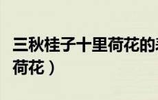 三秋桂子十里荷花的表达特色（三秋桂子十里荷花）