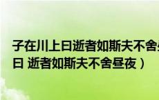 子在川上曰逝者如斯夫不舍昼夜的斯是什么意思（子在川上曰 逝者如斯夫不舍昼夜）