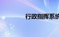 行政指挥系统（行政指挥）