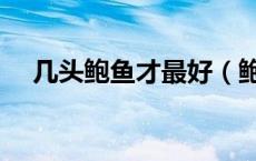 几头鲍鱼才最好（鲍鱼几头是什么意思）