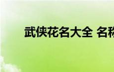 武侠花名大全 名称（武侠花名大全）