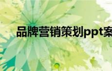 品牌营销策划ppt案例（品牌营销策划）