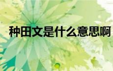 种田文是什么意思啊（高干文是什么意思）