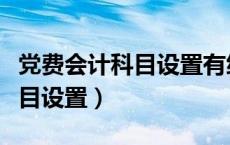 党费会计科目设置有统一标准吗（党费会计科目设置）