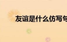 友谊是什么仿写句子（友谊是什么）
