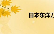 日本东洋刀（东洋刀）