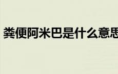 粪便阿米巴是什么意思（阿米巴是什么意思）