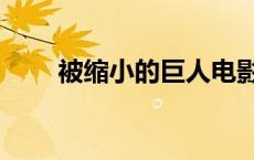 被缩小的巨人电影（被缩小的巨人）