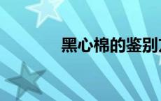 黑心棉的鉴别方法（黑心棉）