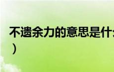 不遗余力的意思是什么解释（不遗余力的意思）