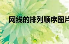 网线的排列顺序图片（网线的排列顺序）