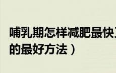 哺乳期怎样减肥最快又不影响奶（哺乳期减肥的最好方法）