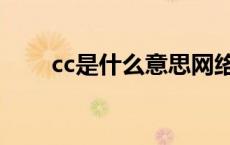 cc是什么意思网络（cc是什么意思）