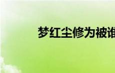 梦红尘修为被谁废了（梦红尘）