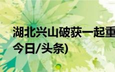 湖北兴山破获一起重大危害珍贵野生动物案(今日/头条)