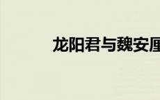 龙阳君与魏安厘王（魏安厘王）
