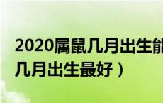 2020属鼠几月出生能大富大贵（2020属鼠的几月出生最好）