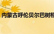 内蒙古呼伦贝尔巴树桓（巴树桓侯雪燕照片）