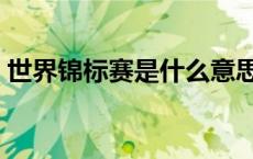 世界锦标赛是什么意思（锦标赛是什么意思）