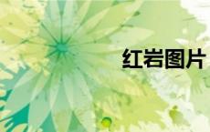 红岩图片（红岩网）