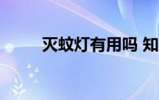 灭蚊灯有用吗 知乎（灭蚊灯有用）