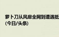 萝卜刀从风靡全网到遭遇抵制 发明人挺委屈：“就不是刀”(今日/头条)