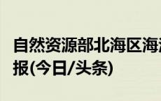 自然资源部北海区海洋预报台发布海浪蓝色警报(今日/头条)