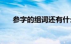 参字的组词还有什么（参组词两个字）