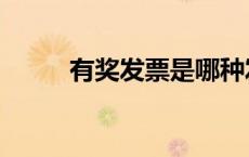 有奖发票是哪种发票（有奖发票）