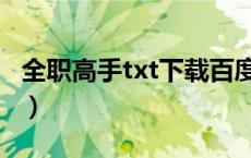 全职高手txt下载百度网盘（全职高手txt下载）