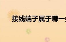 接线端子属于哪一类（接线端子分类）