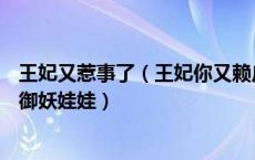 王妃又惹事了（王妃你又赖皮 这个王妃不好惹 惹火狐王的御妖娃娃）