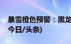 暴雪橙色预警：黑龙江东北部局地有大暴雪(今日/头条)
