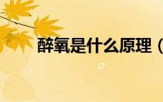 醉氧是什么原理（醉氧是什么意思）