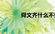 舜文齐什么不姓宁（舜文齐）
