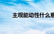 主观能动性什么意思（主观能动性）