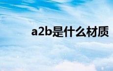 a2b是什么材质（a2是什么材料）