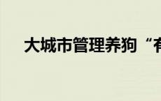 大城市管理养狗“有一套”(今日/头条)