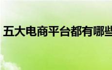 五大电商平台都有哪些（电商平台都有哪些）