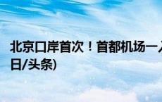 北京口岸首次！首都机场一入境航班客舱内捕获活体蝙蝠(今日/头条)