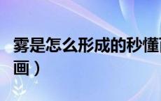 雾是怎么形成的秒懂百科（雾是怎么形成的动画）