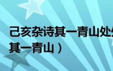 己亥杂诗其一青山处处埋忠骨全诗（己亥杂诗其一青山）