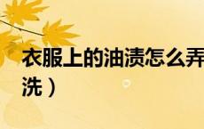 衣服上的油渍怎么弄掉?（衣服上的油渍怎么洗）