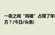 一夜之间“吗喽”占领了年轻人的生活圈，“吗喽”来自何方？(今日/头条)