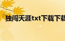 独闯天涯txt下载下载（独闯天涯txt下载）