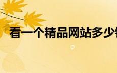 看一个精品网站多少钱（看一个精品网站）
