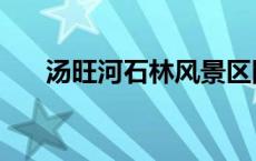 汤旺河石林风景区图片（汤旺河石林）