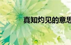 真知灼见的意思是什么（真知）